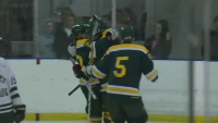 High School Hockey: Hamden Green Dragons vs. Northwest Catholic Highlights 1/13/16